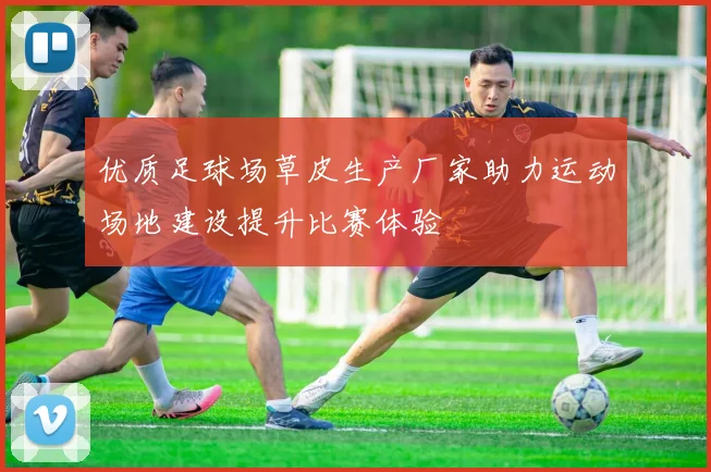 优质足球场草皮生产厂家助力运动场地建设提升比赛体验