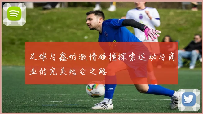 足球与鑫的激情碰撞探索运动与商业的完美结合之路