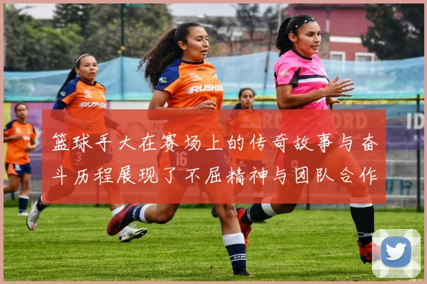 篮球手大在赛场上的传奇故事与奋斗历程展现了不屈精神与团队合作的力量