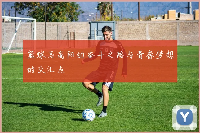 篮球马高阳的奋斗之路与青春梦想的交汇点