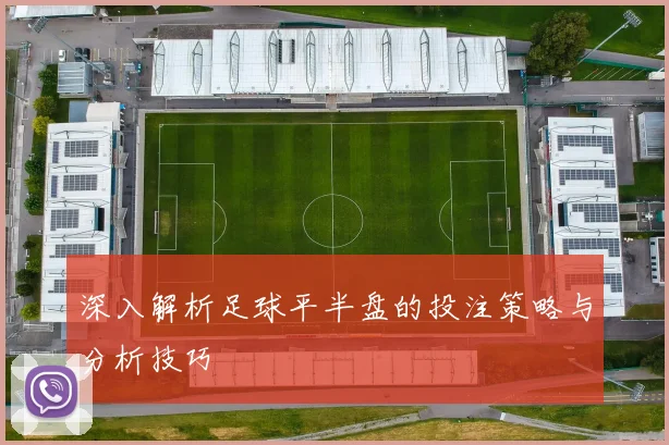 深入解析足球平半盘的投注策略与分析技巧
