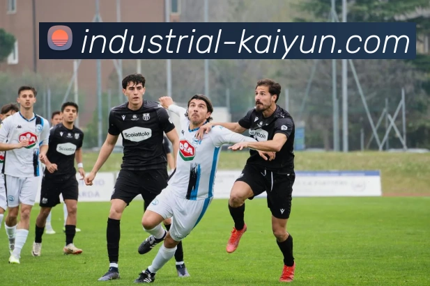 开云体育官网APP 封面图